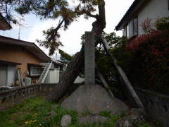 �����V�c�q�ƌ䏬�x��