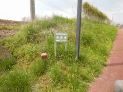 �C��h�ē���