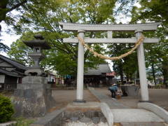 �����_��