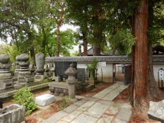 �����P�̕�