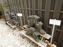 �������n�����S��