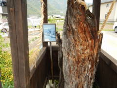 �j�Ֆ����V�R�L�O���Ê�