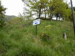 ������ׂ̔�