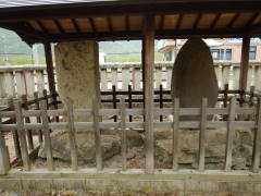 ���t�̔�E�m�ԋ��