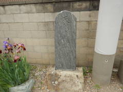 �V�̒��V���w���Փ���