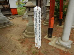 ���V��w����׎�