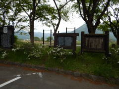 ���������̓n��