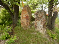 ���c�_�E��\�O�铃