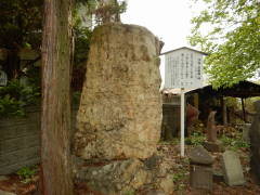 ��C�Ɣm�ԉ��̔�