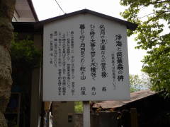 ��C�Ɣm�ԉ��̔�