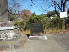 �������r