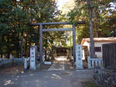 ���q�_��