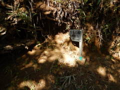 �ˏ�̐Ζ_������