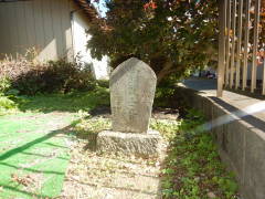 �n���ϐ���