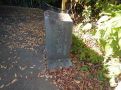 �n���ϐ���