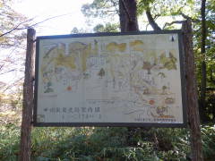 �b�B�X���j�Ոē��}