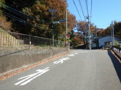 �����Q�O�����ɍ���