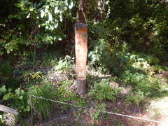 ���̂���