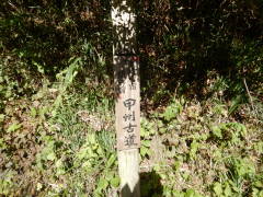 �b�B�Ó��W��