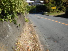 �����������b�B�X��