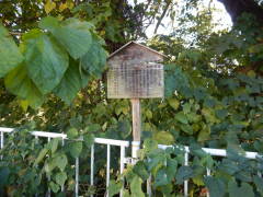 �Ëv��̖��؁@�G�m�L