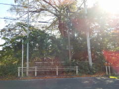 ����̈ꗢ��