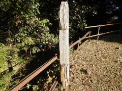 �^���h�ꗢ��