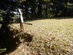 �^���h�ꗢ��