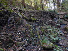 �����@�ʂ�o��