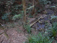 ���̎c�[�H