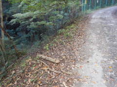 �L�����ɍ���