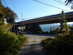 �����Q�O�����ɍ���