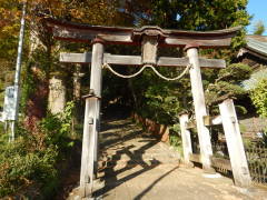 ��O�m����