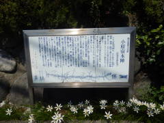 �����h�{�w