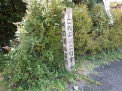 �b�B�X�������h