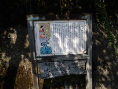 �Ǝ�P���̂�����