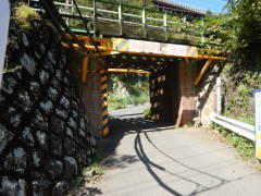 �������g���l��