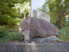 �n���ϐ���