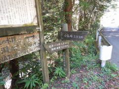 �������Q�D�T�q