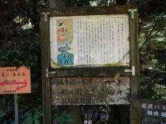 �Ǝ�P���̂�����