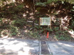 �ē��}�E�W����