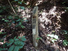 �b�B�Ó��@���