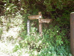 �������@�P�D�W����