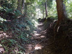 ���b�B�X��