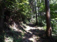 ���b�B�X��