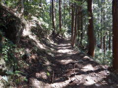 ���b�B�X��