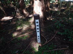 �b�B�����@���͌��s