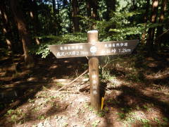 �������P�D�Q����