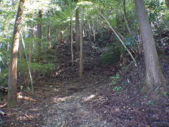 ���b�B�X��