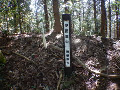 �b�B�����@���͌��s